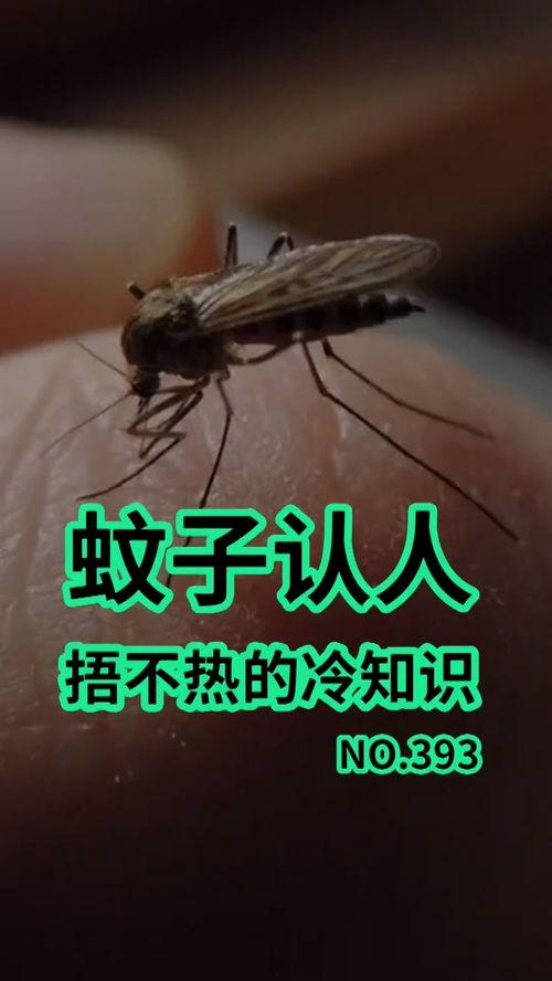 爆料大蚊子的视频大全播放,惊悚瞬间直击眼球 第3张 爆料大蚊子的视频大全播放,惊悚瞬间直击眼球 第3张